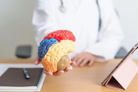 Hareketsiz Yaşam Beyni Tehdit Ediyor Otururken Beyniniz Küçülmesin