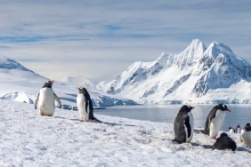 Kaybolan Robot Ortaya Çıktı Buzulların Altındaki Gizli Tehlike Deşifre Oldu