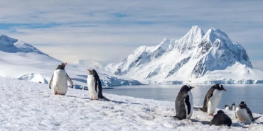 Kaybolan Robot Ortaya Çıktı Buzulların Altındaki Gizli Tehlike Deşifre Oldu