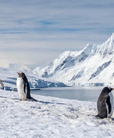 Kaybolan Robot Ortaya Çıktı Buzulların Altındaki Gizli Tehlike Deşifre Oldu