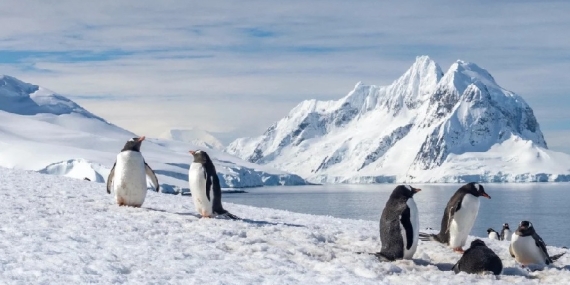 Kaybolan Robot Ortaya Çıktı Buzulların Altındaki Gizli Tehlike Deşifre Oldu