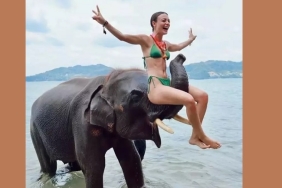 rabia-soyturk-fil-ustunde-bikinili-poz-verdi