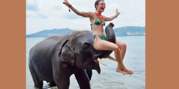 rabia-soyturk-fil-ustunde-bikinili-poz-verdi