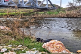 Ege Ekspresi Treni Yayaya Çarptı 79 Yaşındaki Halil Çelik Hayatını Kaybetti