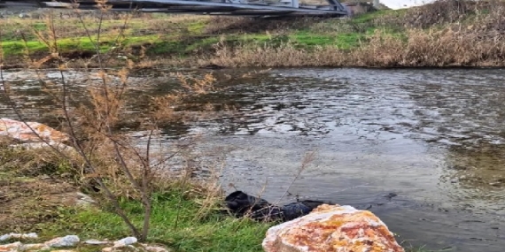 Ege Ekspresi Treni Yayaya Çarptı 79 Yaşındaki Halil Çelik Hayatını Kaybetti