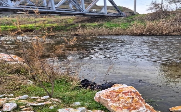 Ege Ekspresi Treni Yayaya Çarptı 79 Yaşındaki Halil Çelik Hayatını Kaybetti